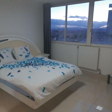 Appartement Laurent Bonnevay Вильорбан Екстериор снимка