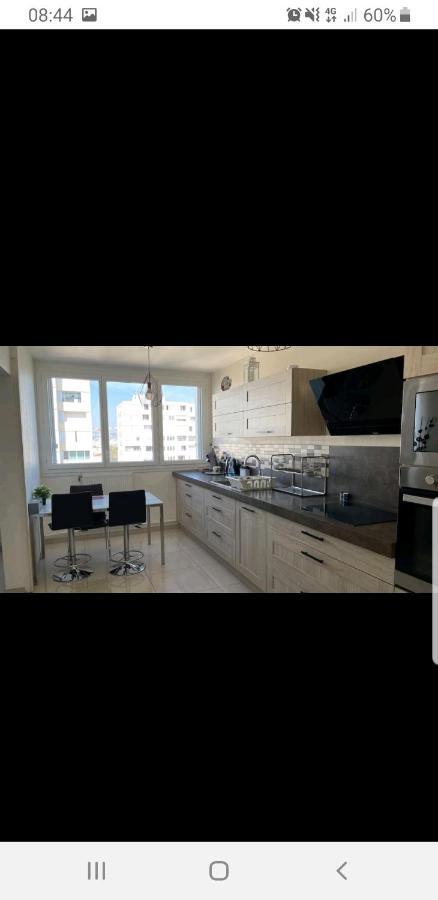 Appartement Laurent Bonnevay Вильорбан Екстериор снимка