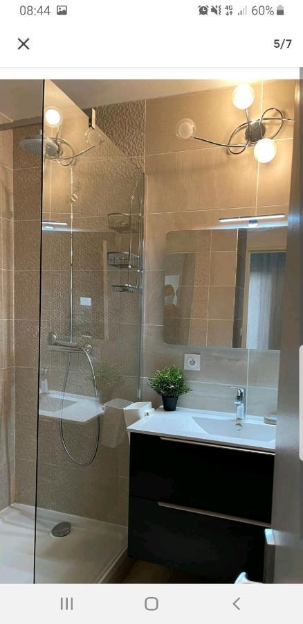 Appartement Laurent Bonnevay Вильорбан Екстериор снимка