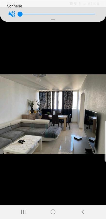 Appartement Laurent Bonnevay Вильорбан Екстериор снимка
