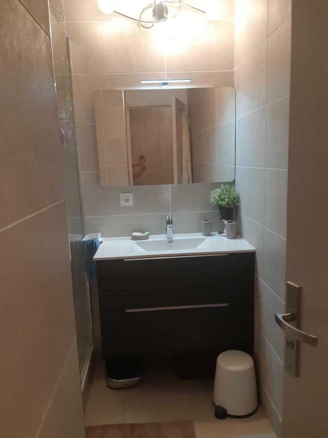 Appartement Laurent Bonnevay Вильорбан Екстериор снимка